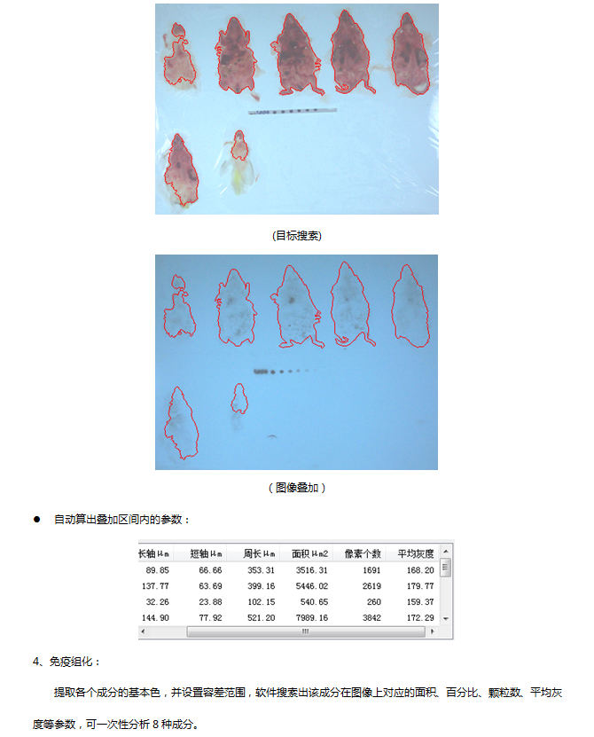 生物图像分析系统