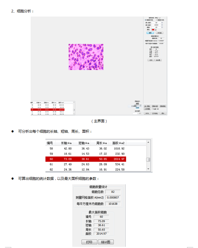 生物图像分析系统