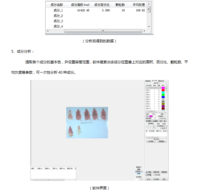 生物图像分析系统