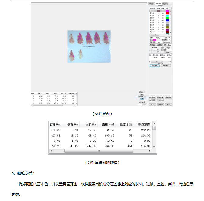 生物图像分析系统