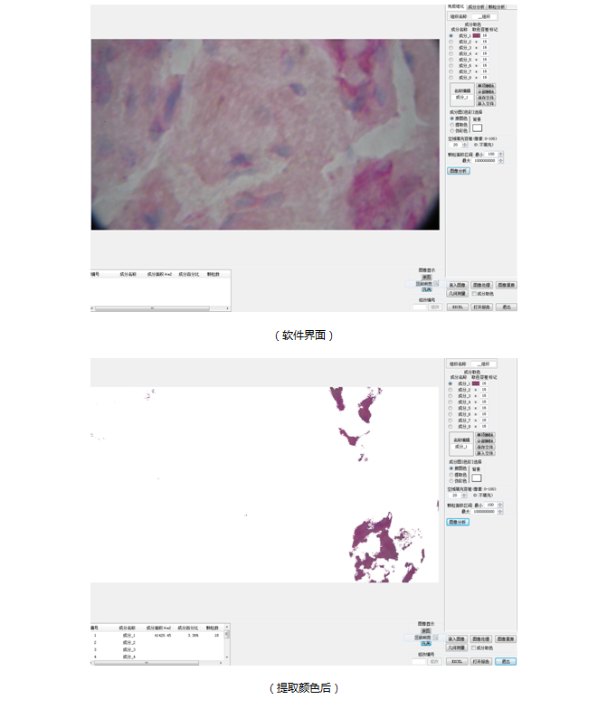 生物图像分析系统